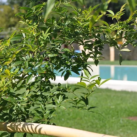 Ca' Matra * Lama (Umbria)